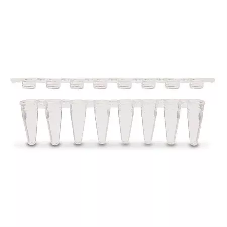 8-Strip PCR Tubes Flat Cap - Clear