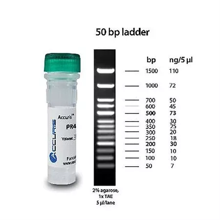 Accuris SmartCheck 50bp DNA Ladder 5x500ul/500 lanes
