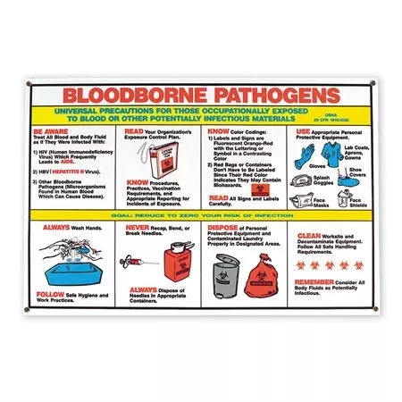 Bloodborne Pathogens Poster