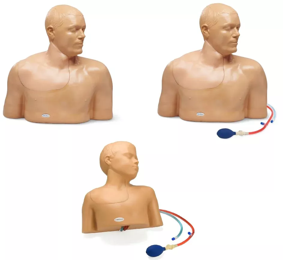 CAE Blue Phantom Central Line Ultrasound Training Models