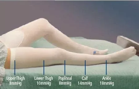 Cardinal Anti-embolism Stocking T.E.D.™ Knee High 2X-Large / Regular White Inspection Toe - M-717768-1247 - CT/12