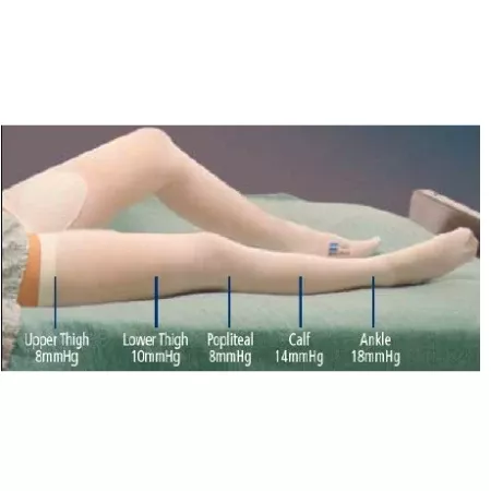 Cardinal Anti-embolism Stocking T.E.D.™ Thigh High 2X-Large / Short White Inspection Toe - M-637548-3877 - Pair