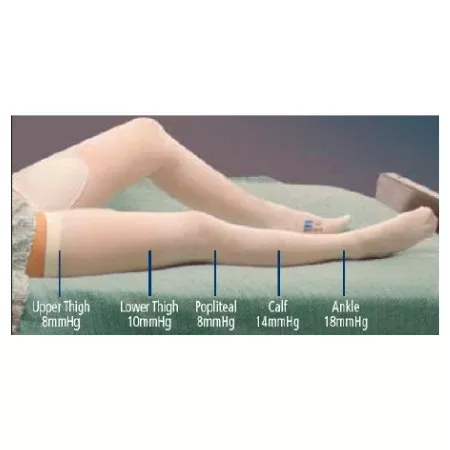 Cardinal Anti-embolism Stocking T.E.D.™ Thigh High X-Large / Regular White Inspection Toe - M-637546-4377 - CT/6