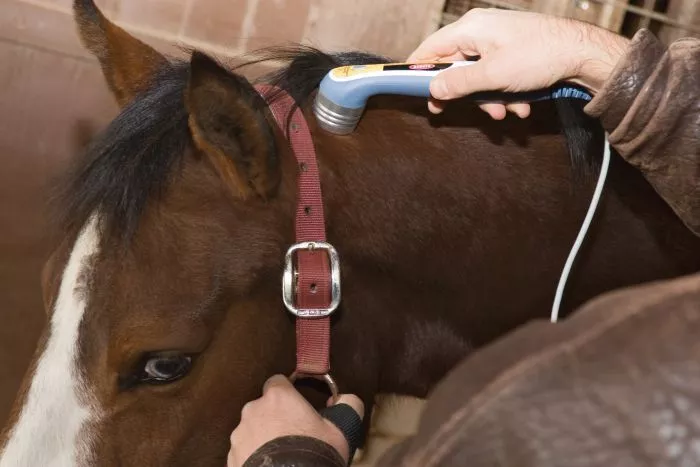 Chattanooga Intelect Vet Laser Therapy Module