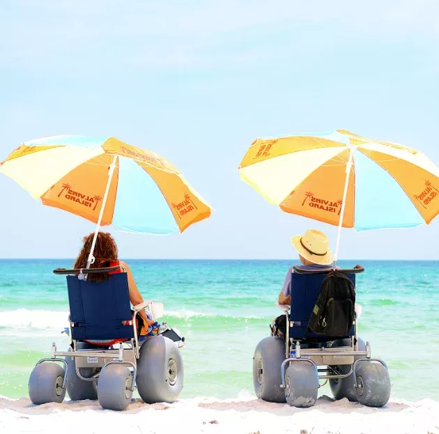 DeBug All-Terrain Beach Wheelchair