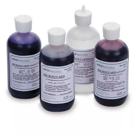 Gram Stain Kits Neat Stain Slide Holder