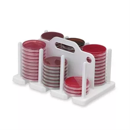 Molded 100mm Plate Rack Molded 100mm Plate Rack - 13"L x 8"W x 7"H