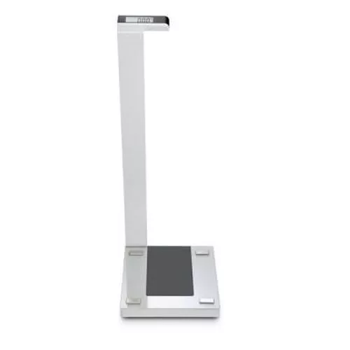 Seca Digital Column Scale - Glass Base 719
