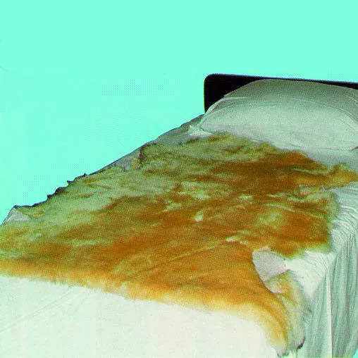 Sofsheep Sheepskin Pad, 3 ft. x 2-1/2 ft., Beige