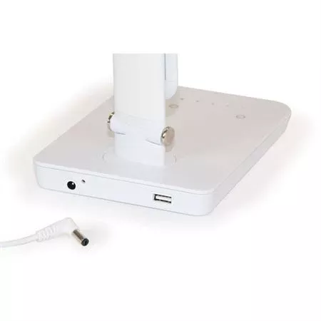 Vamp LED Light