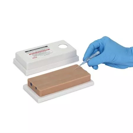 Venipuncture Training Aid 2-Vein Model