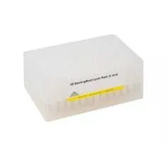 ZR-96 BashingBead Lysis Rack2 mmZymo S6002-96-2